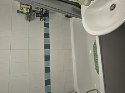 Picture 11